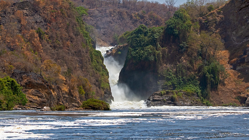 Murchison falls National Park | murchison falls safaris